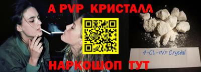 СК Будённовск